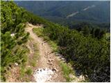 Rifugio Dibona - Rifugio Pomedes